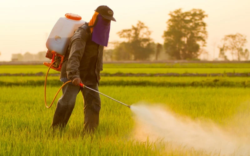 Regional Analysis: The Global Fumigation Products Market