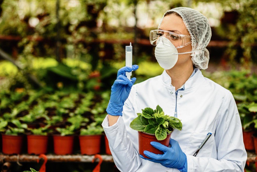 Regional Insights into the Global Fumigation Products Market