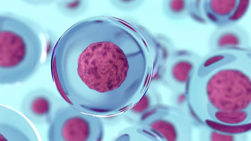 Single-Cell Multi-Omics A New Frontier in Biological Research