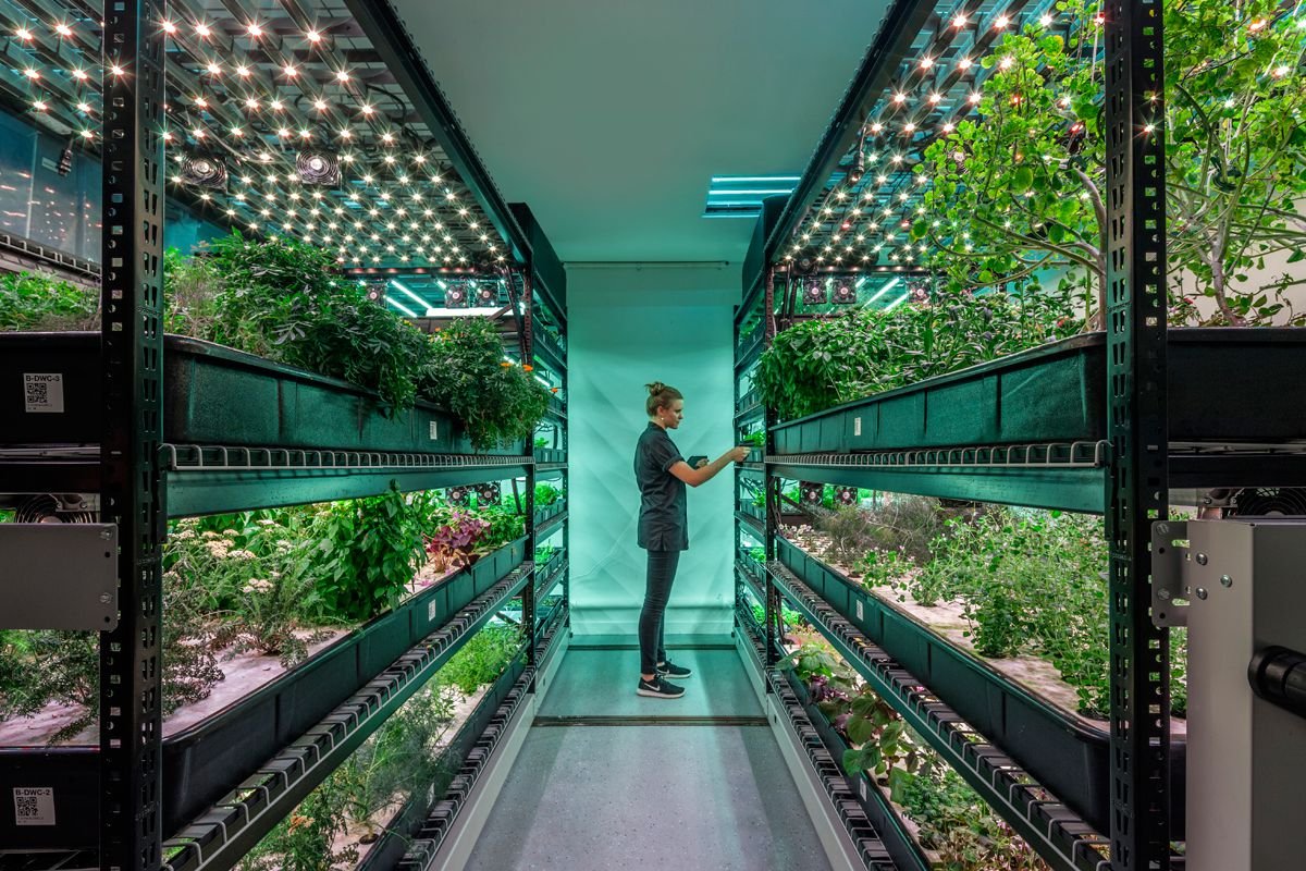 Sustainability and the Future of Vertical Farming Systems