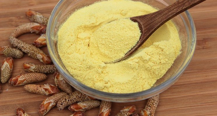 Market Forecast and Trends in the Broken Cell Pine Pollen Powder Industry