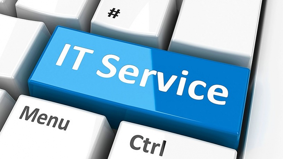 It Services and Business Flair Insight