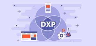 Digital Experience Platforms (DXP)